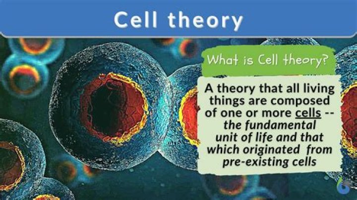 according to the cell theory what is required for an object to be considered alive
