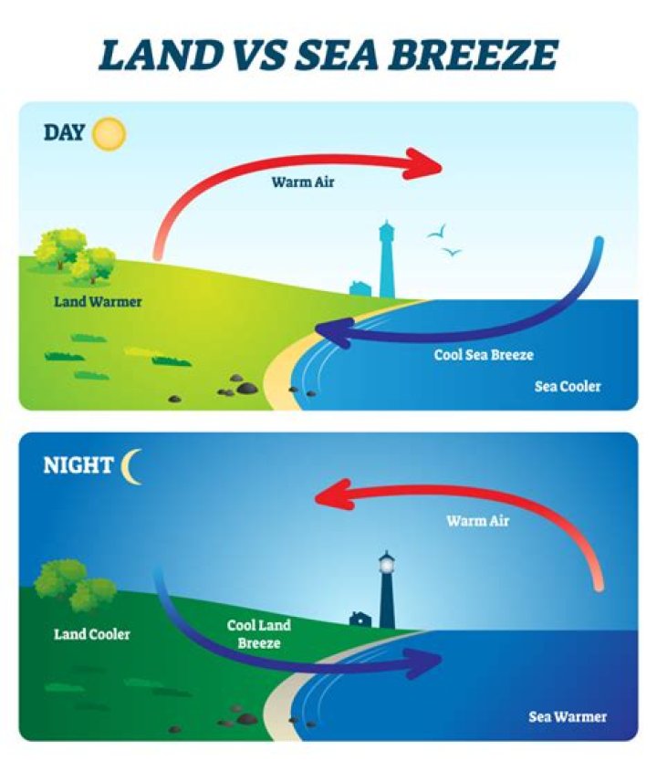 explain why wind blows from the shore out to the water at night along the ocean.