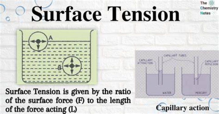 give an example of when you observed of surface tension