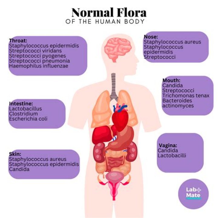 how can normal flora be a barrier to entry?