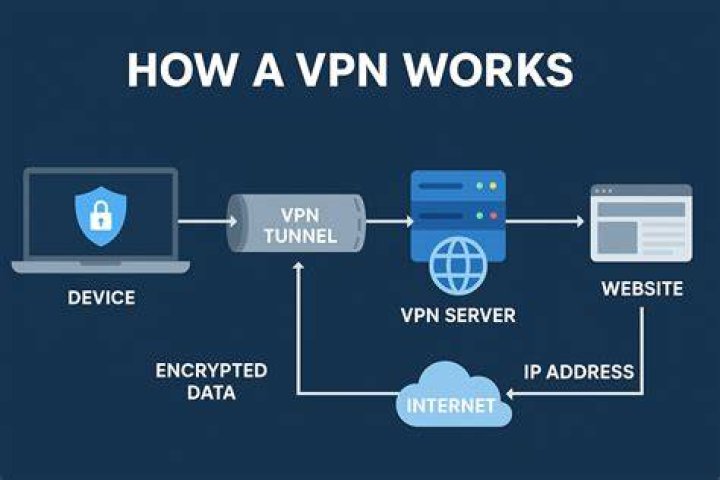 how cast net works - Lisbd-net.com