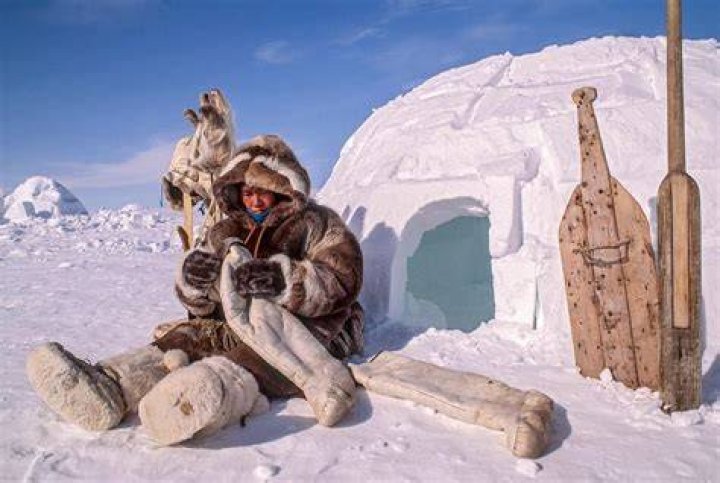 how do humans survive in the arctic