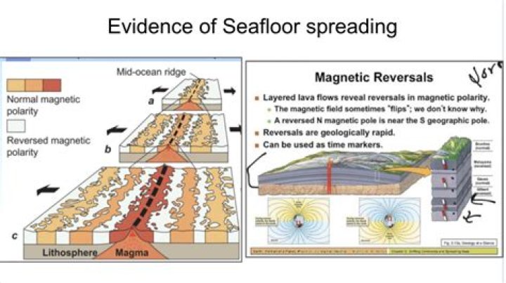 how do magnetic reversals provide evidence of seafloor spreading