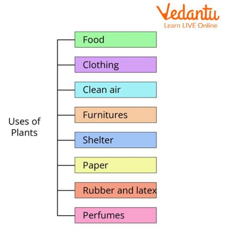 how do we use plants