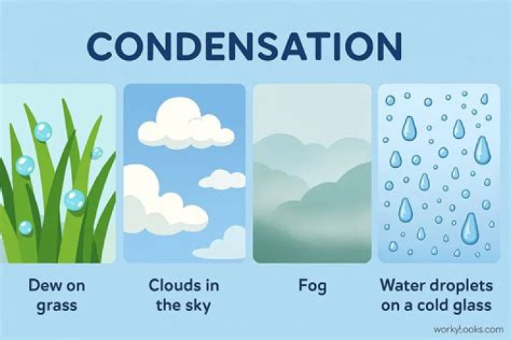 how does condensation differ from precipitation