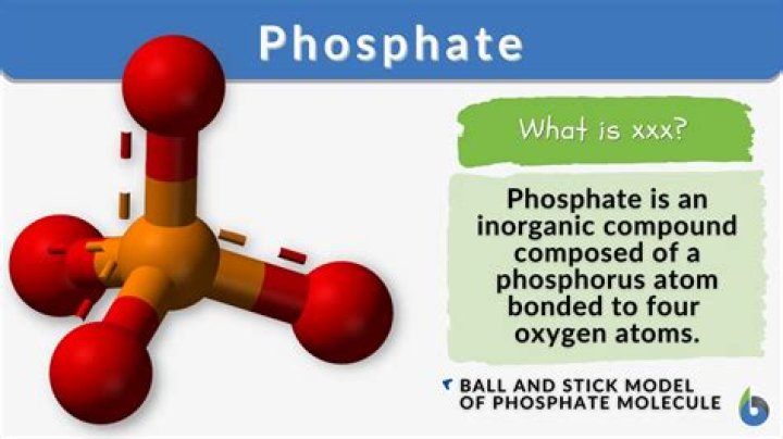 how many phosphate groups are present in one molecule of ribulose bisphosphate?