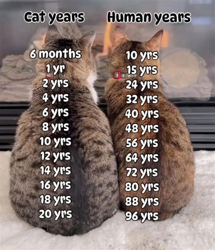 how many years in an epoch
