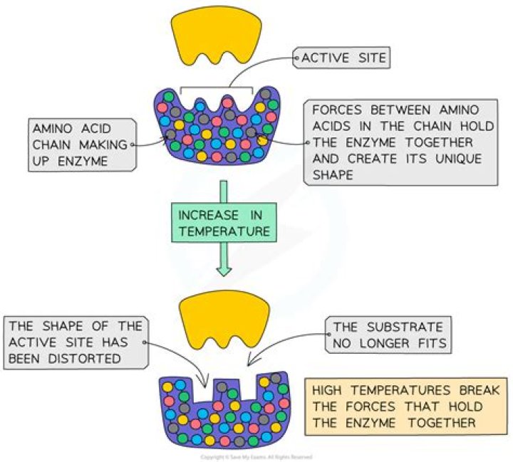 how might an increase in dead space impact your breathing?