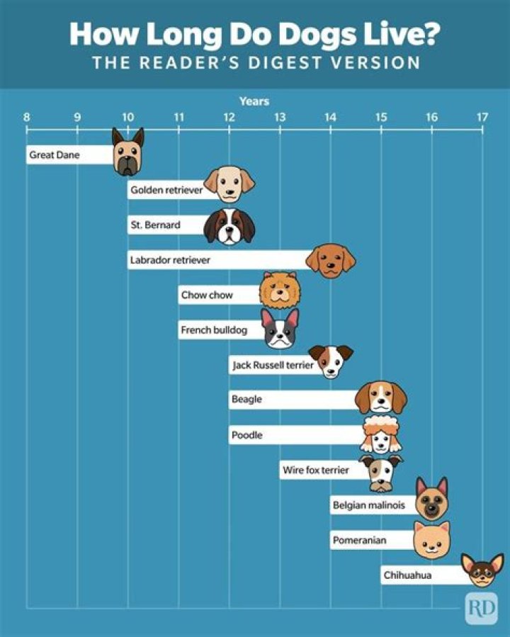 how old do tigers live up to