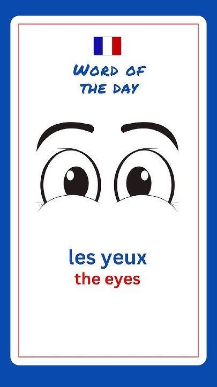how to say eyes in french