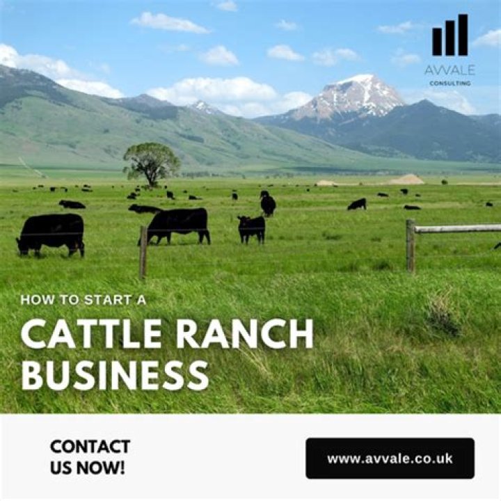 how to start a cattle ranch