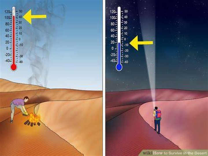 how to survive in the sahara desert