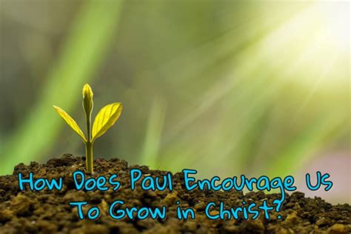 paleolithic humans may have encouraged the growth of new plants by doing what?