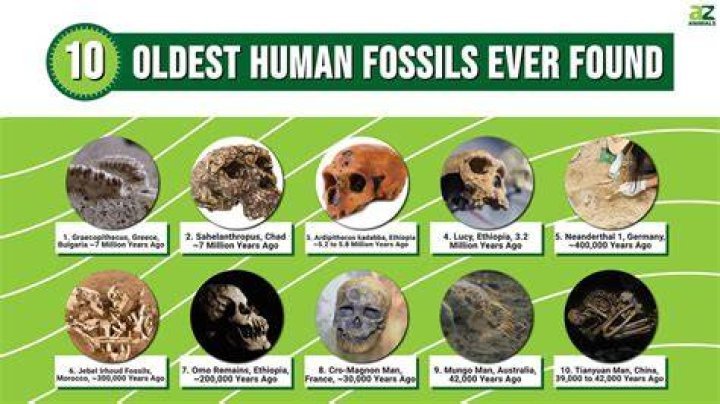 the oldest fossils are about how many years old