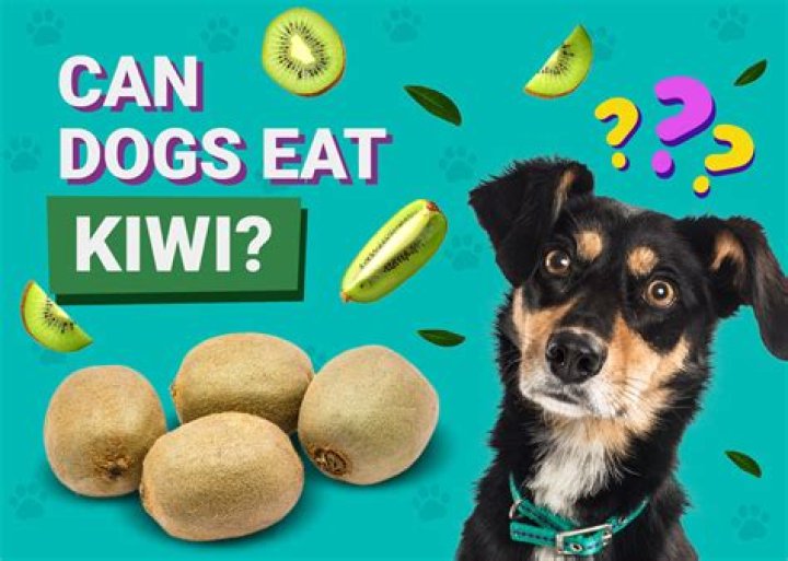 what animals eat nuts - Lisbd-net.com