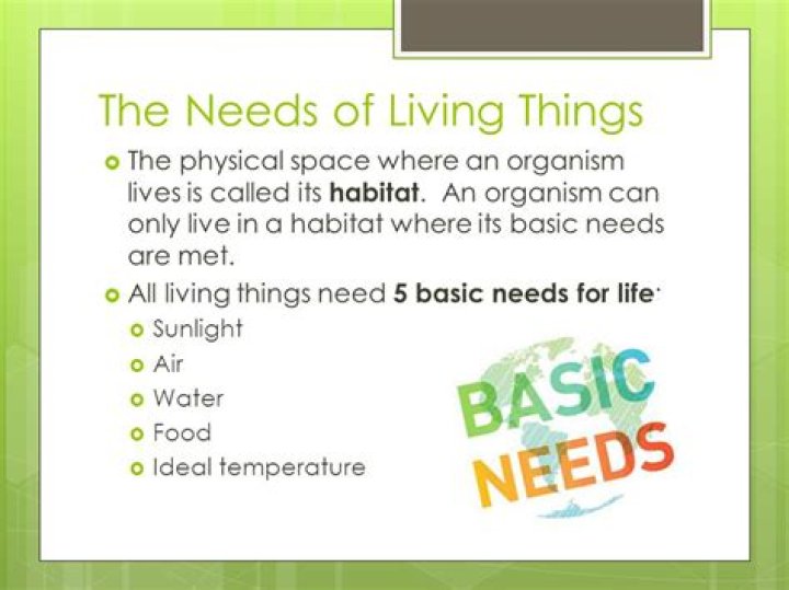 what are the four basic needs of all living things