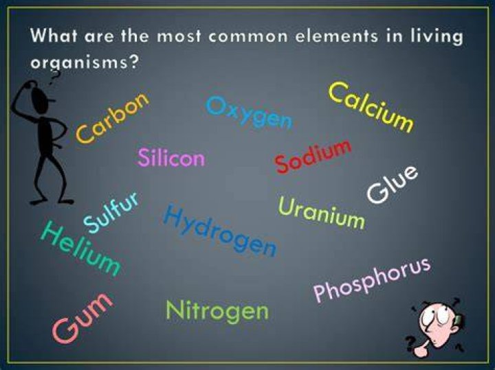 what are the most common elements in living organisms