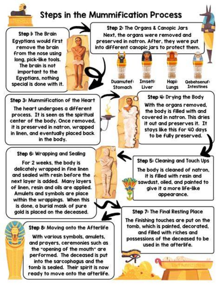 what are the steps of mummification