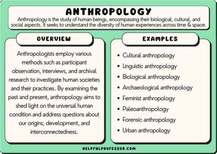 what are the traditional areas of focus within cultural anthropology