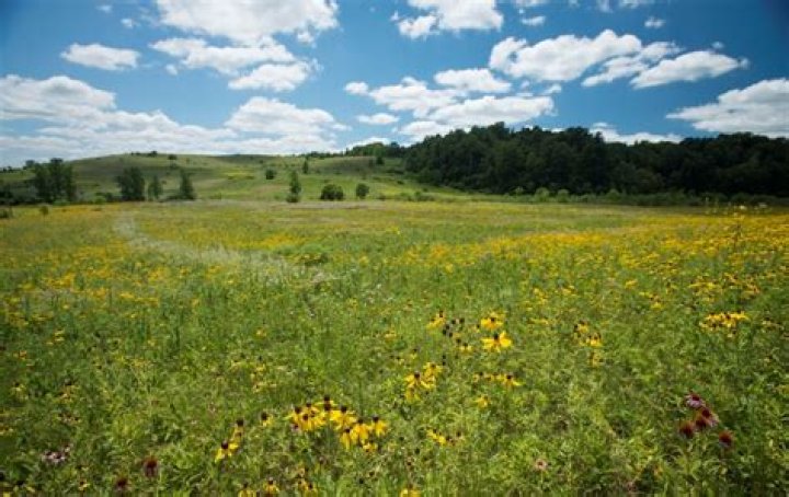 what are two different habitats in a prairie ecosystem
