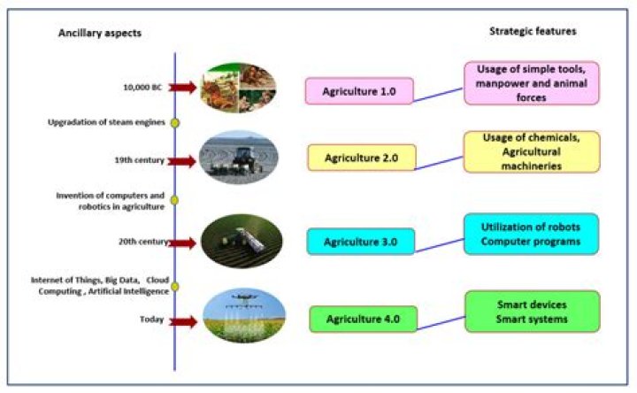 what best describes the agriculture industry in africa