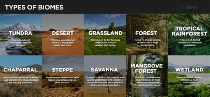 what biome is california - Lisbd-net.com