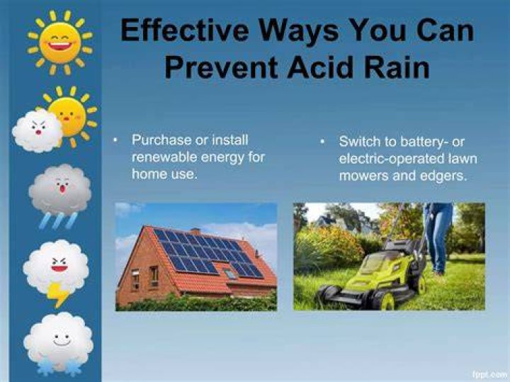 what can we do to prevent acid rain