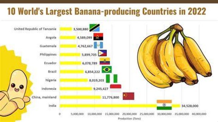 what country produces the most rubber