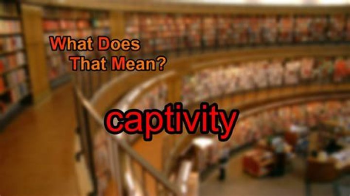 what does captivity mean - Lisbd-net.com
