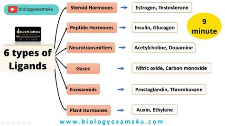 what is a ligand biology