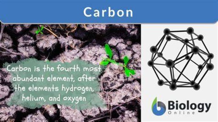 what is carbon in biology