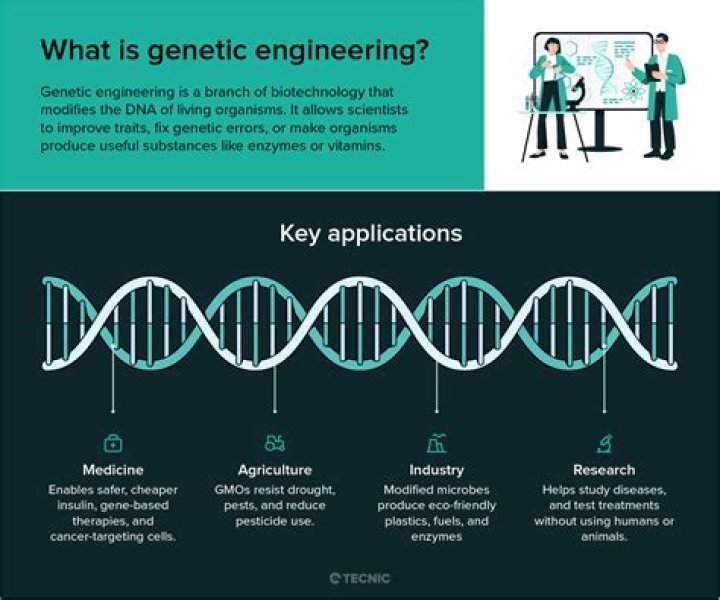 what is genetic composition - Lisbd-net.com