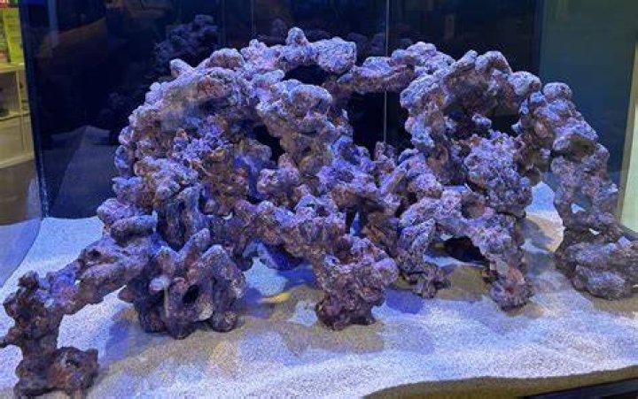 what is one limitation of using a saltwater aquarium to model the ocean