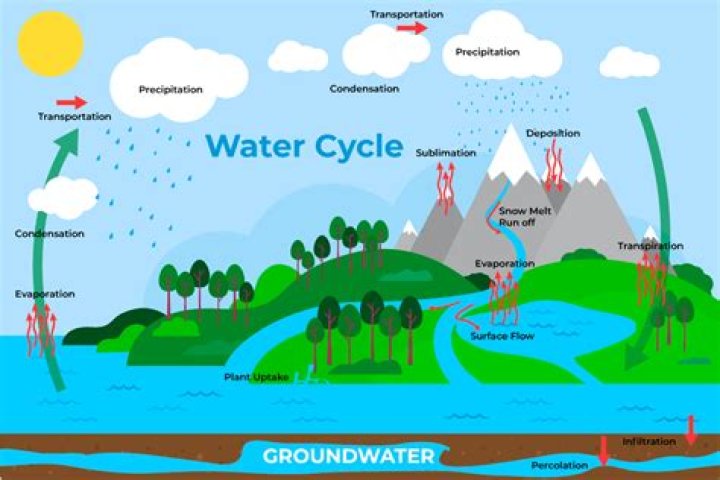 what is the defining characteristic of a water cycle?