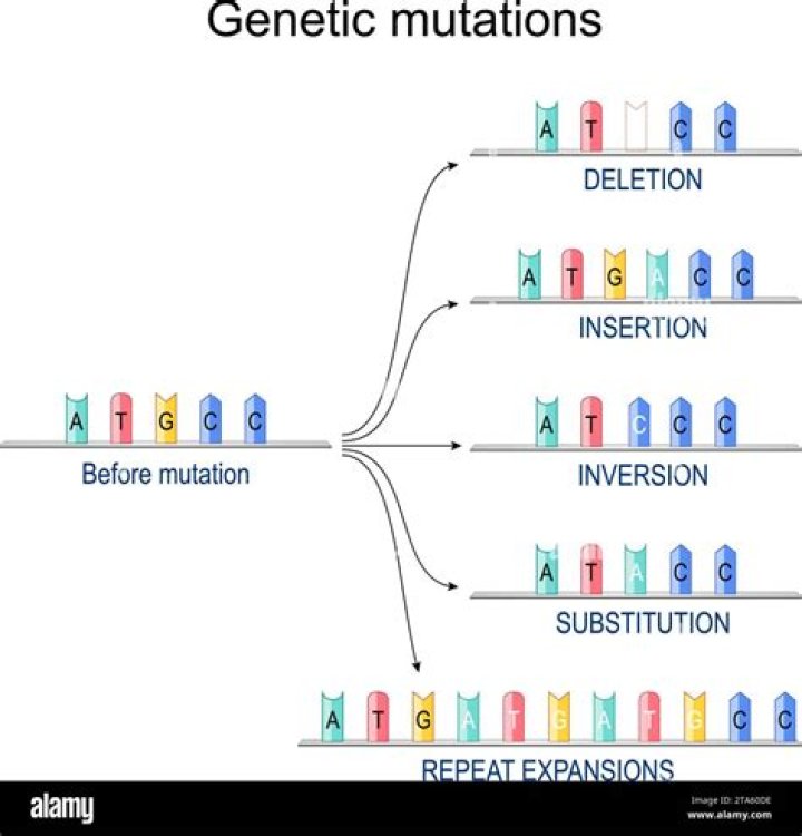 what is the difference between gene mutation and chromosomal mutation