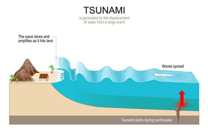 what is the effect of a tsunami