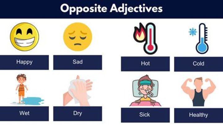 what is the opposite of capable