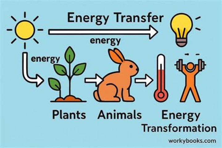 what is the rate at which energy is transferred