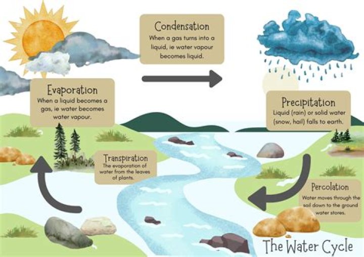what is the third step of the water cycle