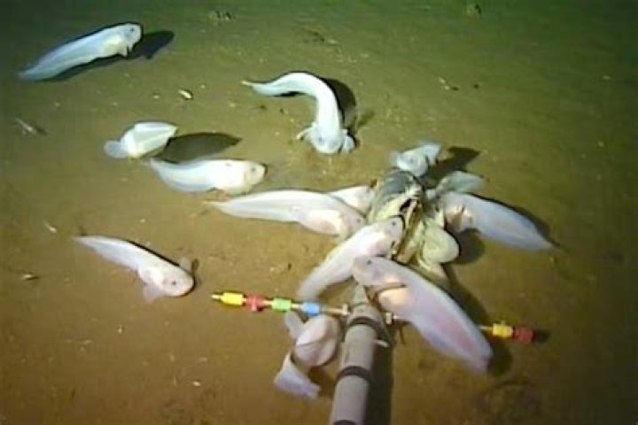 what is water pressure in the ocean