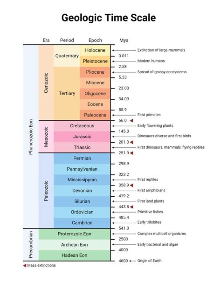 what kind of information does the geologic time scale show?