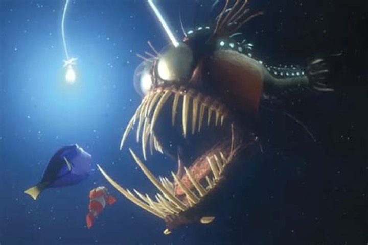 what makes an angler fish glow