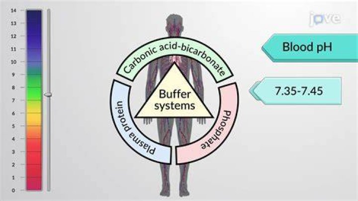 what might happen if buffers did not exist within the