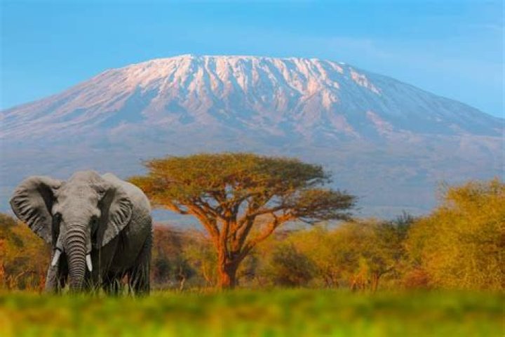 what mountain is in africa
