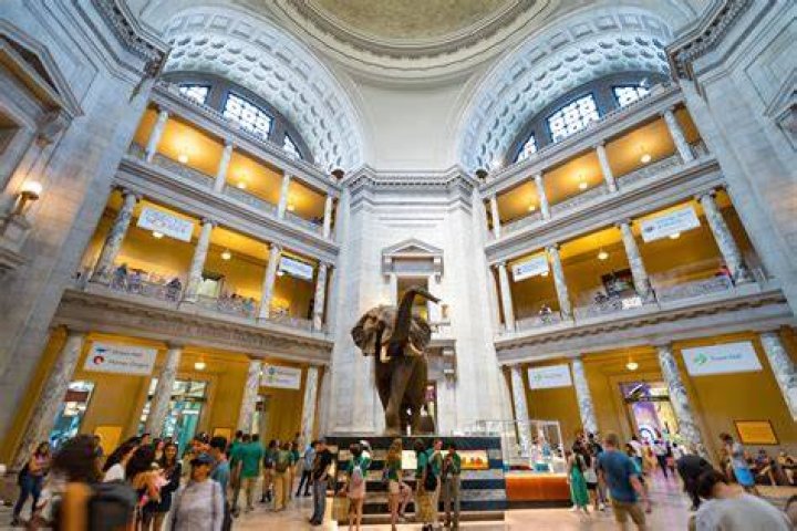 what museums in dc are open