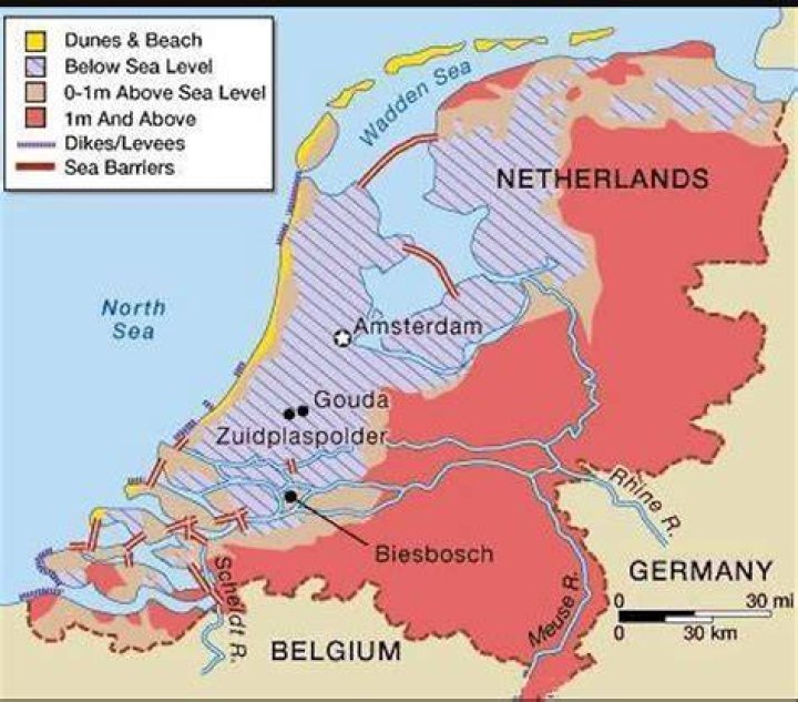 what percentage of the northern forces was foreign born during the civil war?
