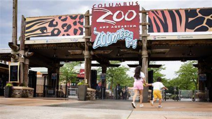 what to do in zoo