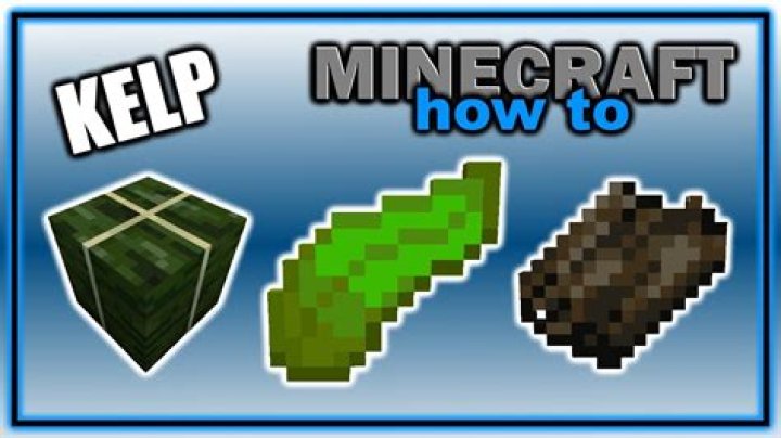 what to do with kelp