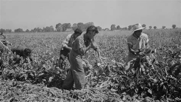 what was the goal of the farm labor movement