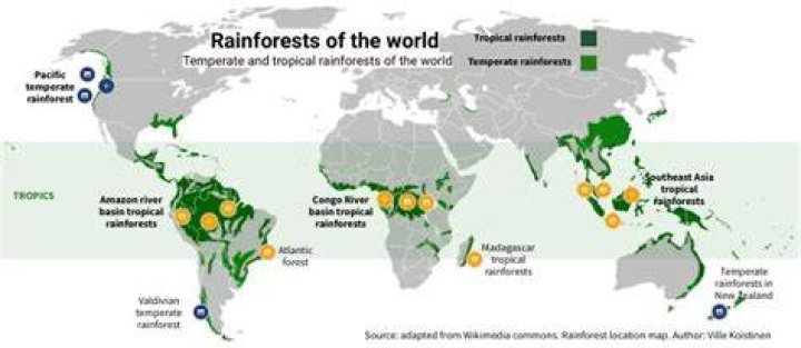 where is the largest rainforest located